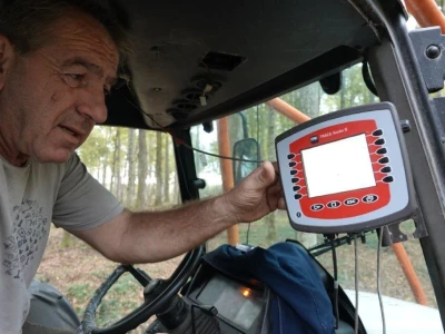Sjetva žira