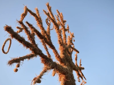 Slama Land Art 2021