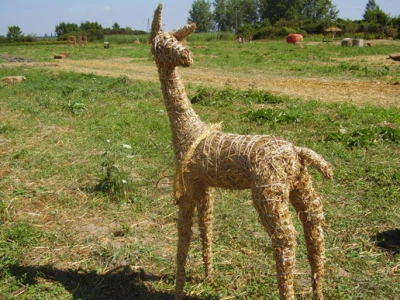 Slama 2010.