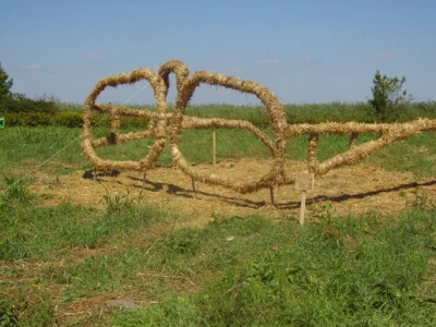 Slama 2010.