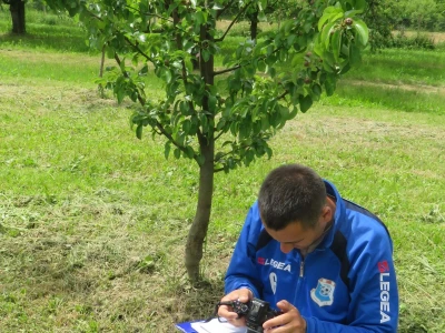 Slavonci i Vojvođani zajedno istražuju stare sorte voća