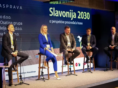 Slavonija 2030