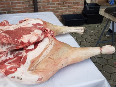 Slavonska svinjokolja
