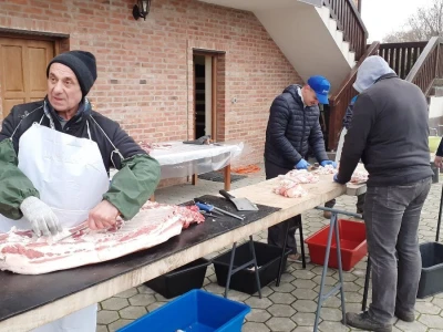 Slavonska svinjokolja