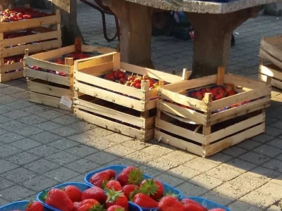 slike za tekst