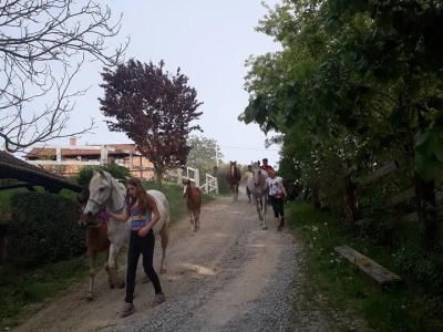 slike za tekst