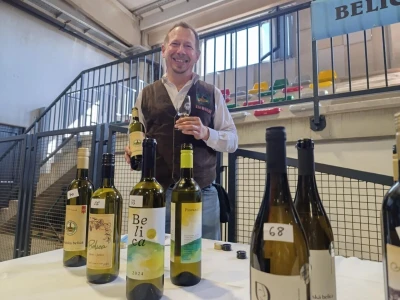 Smotra vina Kastav