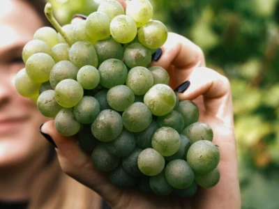 Smotra vina u Kastvu - Udruga Belica