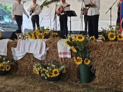 Šokačka alka