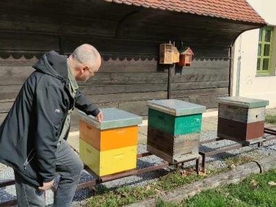 Solitarne pčele