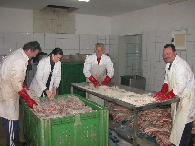 Solenje dalmatinske pancete krupnom morskom solju u pršutani Mijukić-Prom