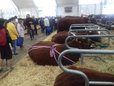 Sommet de l'elevage 2019
