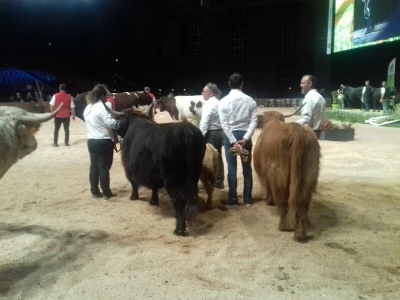 Sommet de l'elevage 2019