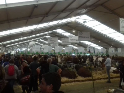 Sommet de l'elevage 2019