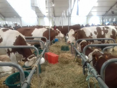 Sommet de l'elevage 2019