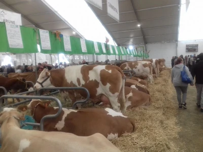 Sommet de l'elevage 2019