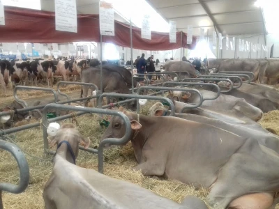 Sommet de l'elevage 2019