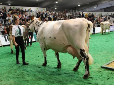 SPACE 2019 Rennes, Francuska