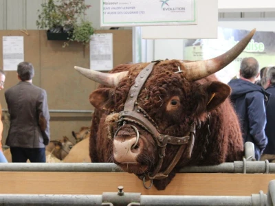 SPACE 2019 Rennes, Francuska