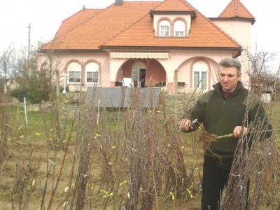 Zvonko Šporčić