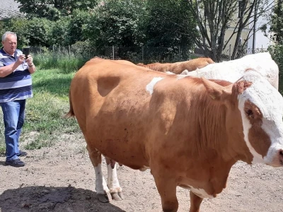 Srednja poljoprivredna škola Weindorf u Austriji
