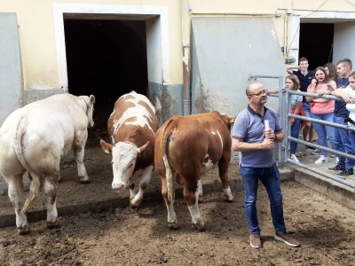 Srednja poljoprivredna škola Weindorf u Austriji