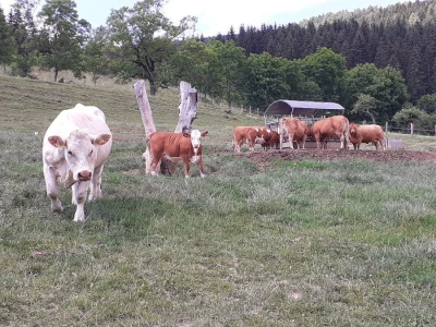 Srednja poljoprivredna škola Weindorf u Austriji
