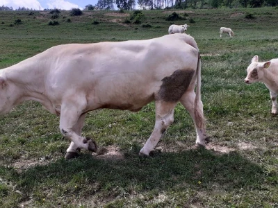 Srednja poljoprivredna škola Weindorf u Austriji