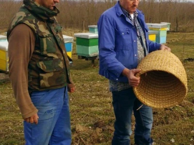 Pletara za rojeve
