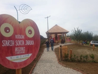 STARE SORTE JABUKA OPG DOBRANIĆ
