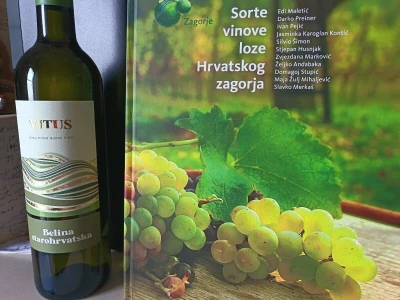 Starohrvatske beline iz Hrvatskog Zagorja