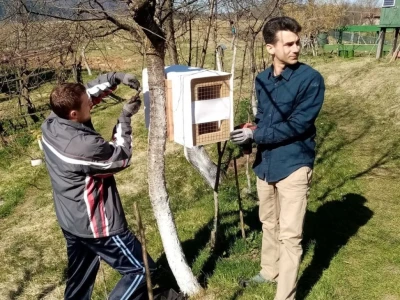 Štete na voćkama