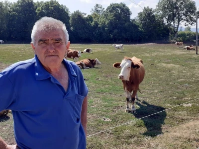 Štete od divljači