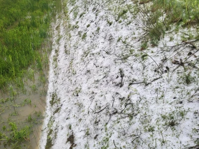Štete od tuče u Brodsko-posavkoj županiji