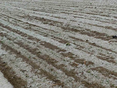 Štete od tuče u Brodsko-posavkoj županiji