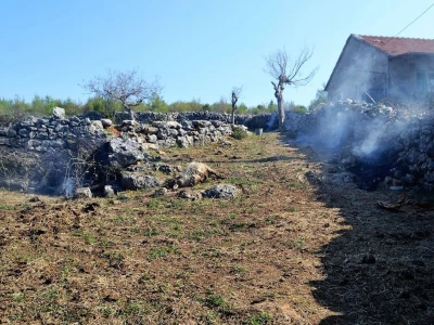 ŠTETNI DOGAĐAJI - Ugriz zaštićenog poskoka usmrtio kozu, ovcu i ovna!