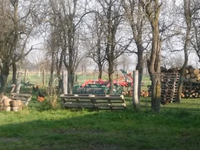 Gospodarstvo Palić