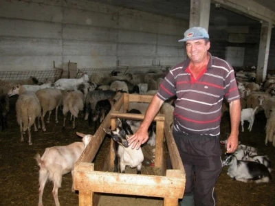 Ivan Kaloper u svojoj štali, zaljubljenik u stočarstvo