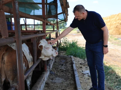 Stradale farme u Općini Strizivojna
