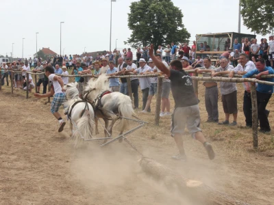 Žestoko su povukli manji trupac