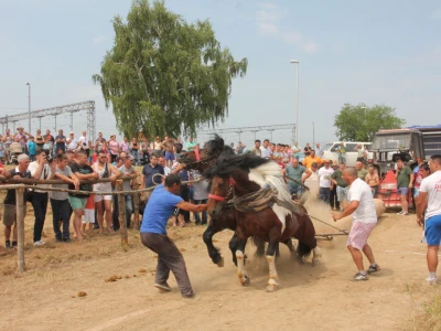 Štraparijada okupila veći broj gledatelja