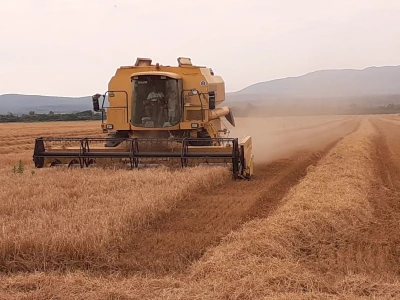 Strategije agrara i akvakulture