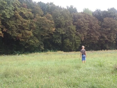 Gospodarstvo obrubljeno šumom