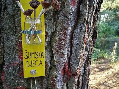 Šumski vrtić