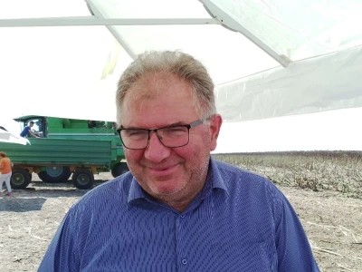 Suncokreti FAZOS