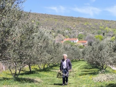 Did Mirko, sin Branimir i unuk Vid oživili didovinu u Rodaljicama