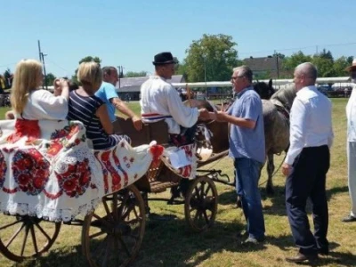 Sunja najljepša zaprega