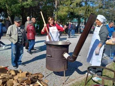 Šuška