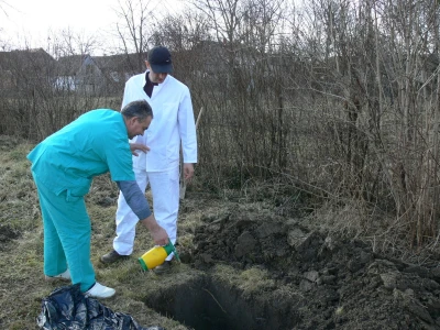 Suzbijanje klasične svinjske kuge i ptičje gripe