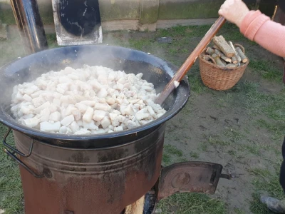 Svinjokolja na OPG Rastija